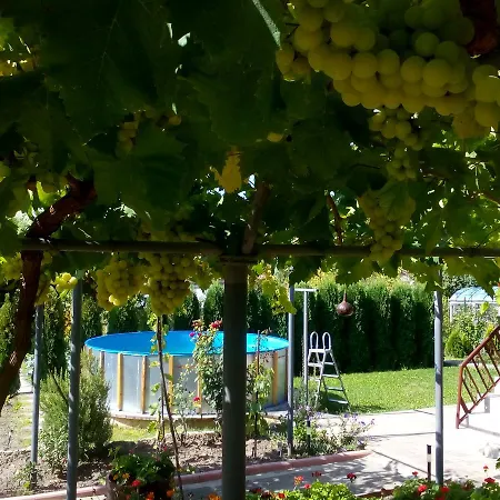 Case de vacanță Reveri