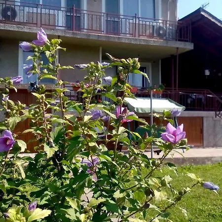 Case de vacanță Reveri Ţurkva