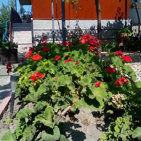 Case de vacanță Reveri